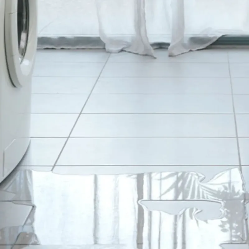 Appliance Leak Cleanup in Winterville, NC