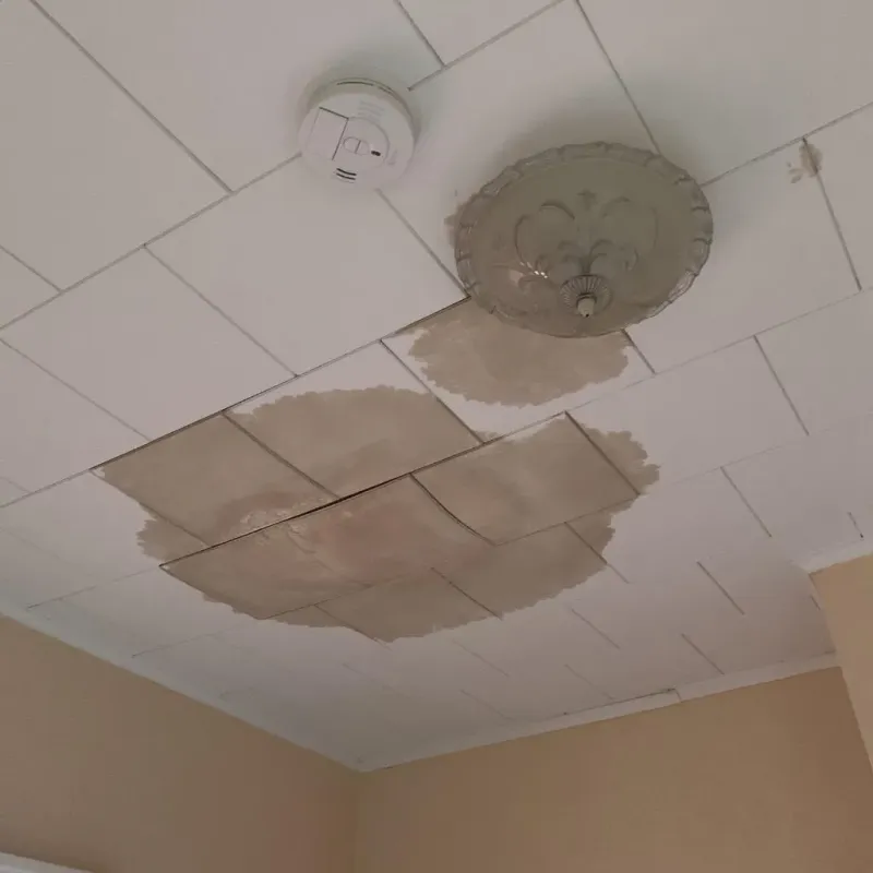 Ceiling Water Damage Repair in Winterville, NC