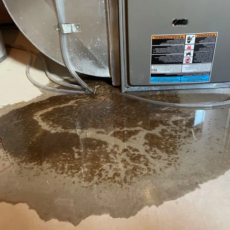 Pipe Burst and Leak Restoration in Winterville, NC