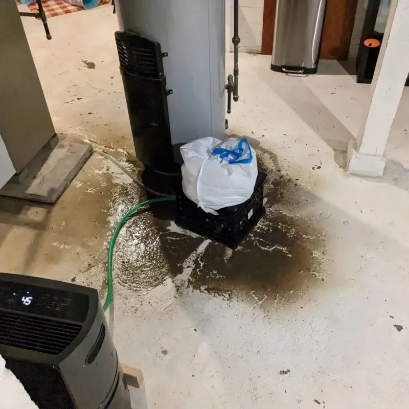 Sewage Backup Cleanup Service in Winterville, NC